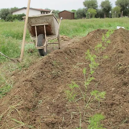 Çiftlik konaklama Stella Di Sicilia