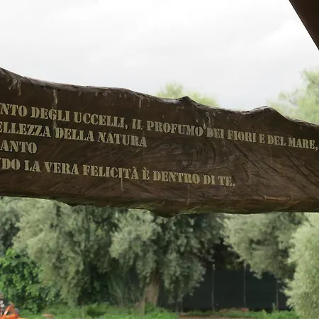 Stella Di Sicilia San Fratello